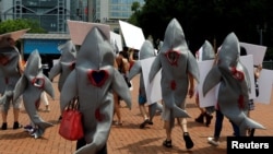 环保活动人士2017年6月10日在香港一家提供鱼翅汤的餐馆外抗议(路透社)