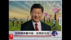 世界媒体看中国:改革的乌龙 世界媒体看中国:改革的乌龙