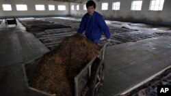 2008年1月27日,中国工人满载高粱的小推车