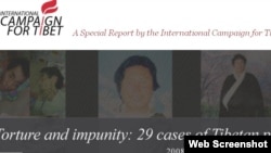 《虐待与免责:29例西藏政治犯的故事》网页版面(来源:国际声援西藏运动)