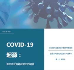 美国众议院外交委员会少数党有关新冠病毒起源和武汉病毒所的调查报告