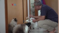 Memiliki Hewan Peliharaan, Atasi Kejenuhan Selama Pandemi Memiliki Hewan Peliharaan, Atasi Kejenuhan Selama Pandemi