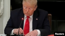 资料照片:时任美国总统的特朗普在白宫点击手机。(2020年6月18日)