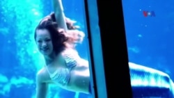 Truyền hình vệ tinh VOA 6/5/2016 Truyền hình vệ tinh VOA 6/5/2016