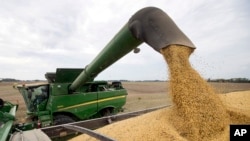 美国印第安纳州农民麦克·斯塔基2018年9月在收获大豆。