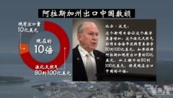 阿拉斯加州长谈美中天然气项目 阿拉斯加州长谈美中天然气项目