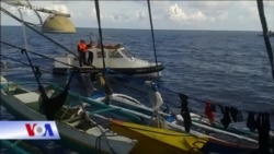 Bắc Kinh: TQ đánh bắt ở vùng biển gần Indonesia là hợp pháp Bắc Kinh: TQ đánh bắt ở vùng biển gần Indonesia là hợp pháp