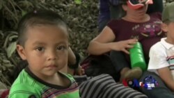 美国会议员在越境儿童命运上意见冲突 美国会议员在越境儿童命运上意见冲突