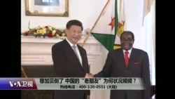 时事大家谈:穆加贝倒了,中国的“老朋友”为何状况频频? 时事大家谈:穆加贝倒了,中国的“老朋友”为何状况频频?