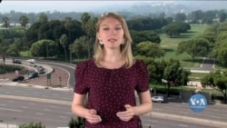 Вибори-2020: Як голосуватимуть безхатченки у Каліфорнії? Відео