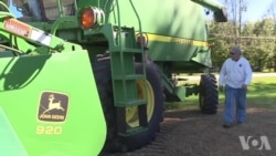 美国大豆开始收割 农民担忧关税影响 美国大豆开始收割 农民担忧关税影响