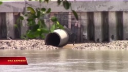 Đừng để Lee & Man bức tử sông Hậu Đừng để Lee & Man bức tử sông Hậu