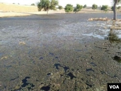 戈拉诺水库受到污染的水,水面上有一层厚厚的杂质。当地人说,这些杂质造成了塔帕卡大规模的盐碱化和水涝。