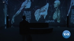 英语视频：新展览让人们重新认识达·芬奇