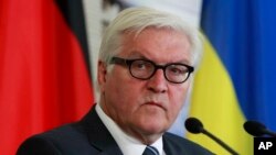 Ông Frank-Walter Steinmeier chỉ trích lệnh cấm và kêu gọi Nga minh bạch hơn.