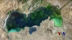 科技:从太空看地球微生物 科技:从太空看地球微生物