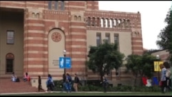 象牙塔阴影下的无证学生 象牙塔阴影下的无证学生