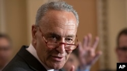 资料照:参议院少数党领袖舒默(Senate Minority Leader Chuck Schumer, D-NY)