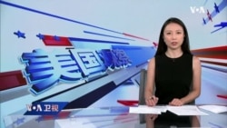 美国观察(2022年8月15日) 美国观察(2022年8月15日)