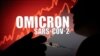 奥密克戎是新冠最后毒株？ 专家说法不一