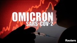 资料图片:奥密克戎新冠变体病毒的治疗示意图(2021年12月11日)