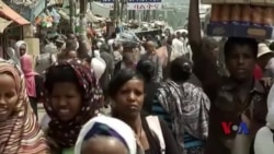 巴拿马文件披露的避税港伤害贫困国家 巴拿马文件披露的避税港伤害贫困国家