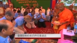 世界疟疾日:全球控制疟疾仍任重道远 世界疟疾日:全球控制疟疾仍任重道远