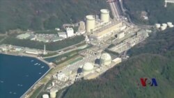 海啸过去五年,福岛核泄漏影响仍然不明 海啸过去五年,福岛核泄漏影响仍然不明