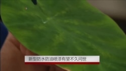 新型防水防油喷漆有望不久问世 新型防水防油喷漆有望不久问世