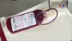 Máu của người sống sót được dùng để chữa Ebola Máu của người sống sót được dùng để chữa Ebola