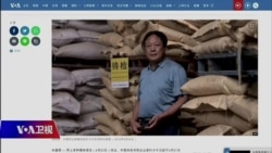 时事大家谈:孙大午集团遭“满门抄斩”,所犯何罪? 时事大家谈:孙大午集团遭“满门抄斩”,所犯何罪?