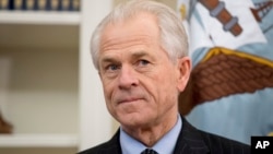 川普总统的贸易顾问彼得·纳瓦罗(资料照)