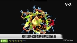 游戏玩家们正在解锁新型蛋白质 游戏玩家们正在解锁新型蛋白质