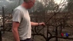 加州扑火取得进展 已知17人死亡 加州扑火取得进展 已知17人死亡