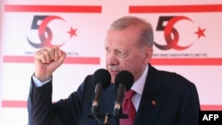 资料照片:土耳其总统埃尔多安在塞浦路斯首都尼科西亚讲话。(2024年7月20日)