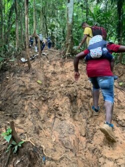 KK 穿越哥伦比亚原始森林时拍摄的前头的队友 （照片由KK提供）