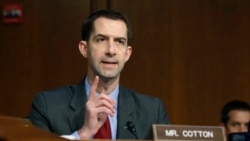 共和党联邦参议员科顿(Sen. Tom Cotton, R-AR)