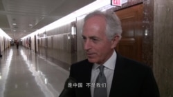 美参院外委会主席:盼中国切断与朝贸易 美参院外委会主席:盼中国切断与朝贸易