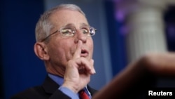 美国国家过敏和传染病研究所所长弗契博士。