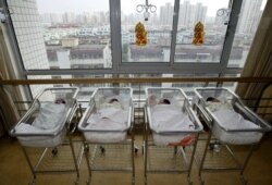 资料照:上海一家医院的新生儿 (2006年7月10日)