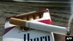 La pitón birmana fue llevada al Museo de Historia Natural de Florida.