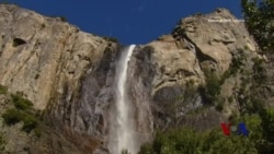 奥巴马在优胜美地赞美国家公园体系 奥巴马在优胜美地赞美国家公园体系