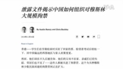 观察人士看抖音/TikTok内容审查及安全性