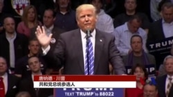 川普克林顿指望纽约初选胜利提振士气 川普克林顿指望纽约初选胜利提振士气