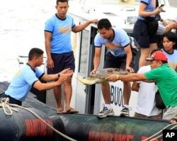 这张摄于2014年5月10日的照片显示,菲律宾国家警察海警大队成员在菲律宾西部的普林萨塞港从中国渔船“琼琼海0903号”上卸下一只死掉的绿海龟。