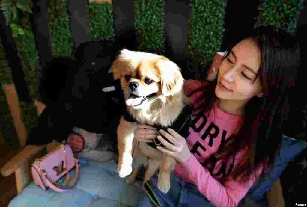 在北京的宠物酒店“萌兽派”( Cute Beast Pet Resort),一位顾客和她的小狗(2017年12月22日)。