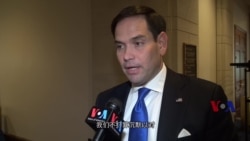鲁比奥参议员接受美国之音专访 鲁比奥参议员接受美国之音专访
