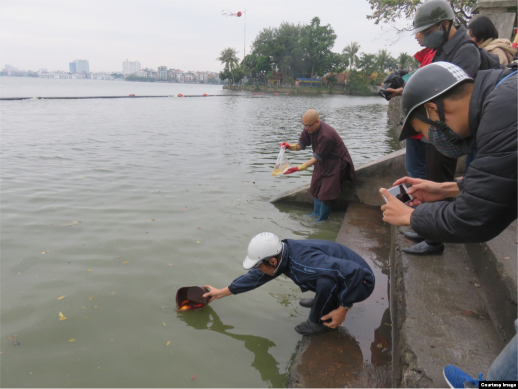 Phóng sinh cá chép ở Hồ Tây ngày 23 tháng Chạp.