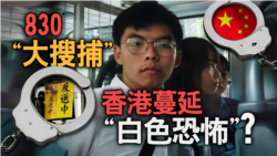 海峡论谈:830“大抓捕” 香港蔓延“白色恐怖”? 海峡论谈:830“大抓捕” 香港蔓延“白色恐怖”?
