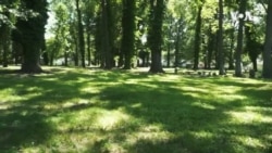 1619非奴系列(6): 第一个非奴公墓 1619非奴系列(6): 第一个非奴公墓